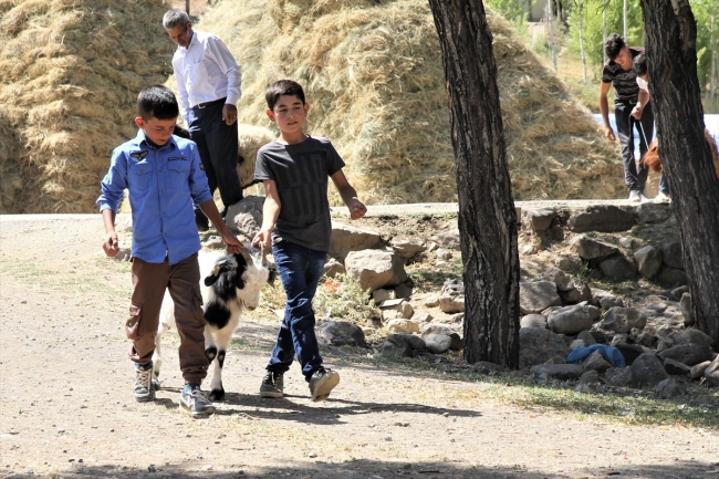 3 ton kurban eti 700 kişiye eşit dağıtıldı